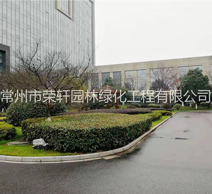 常州市榮軒園林綠化工程有限公司